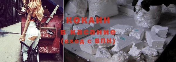 кокс Ельня