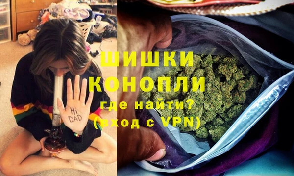 кокс Ельня