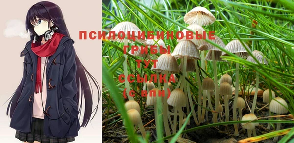 крисы Заводоуковск