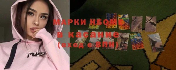 дживик Елабуга