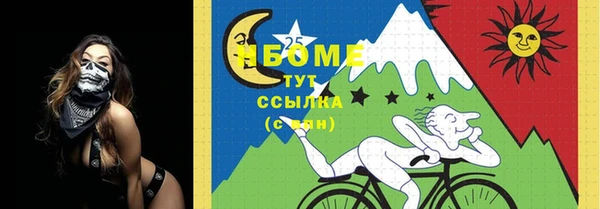 дживик Елабуга