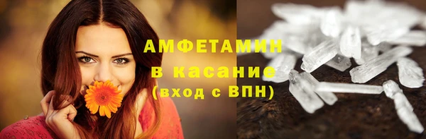 дживик Елабуга