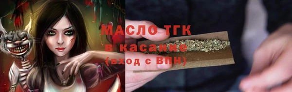 дживик Елабуга