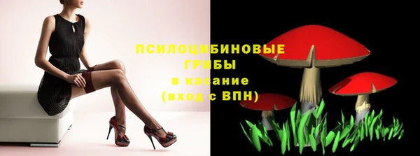 кокс Ельня