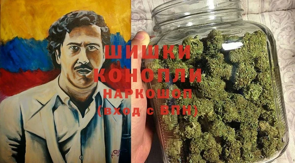 кокс Ельня