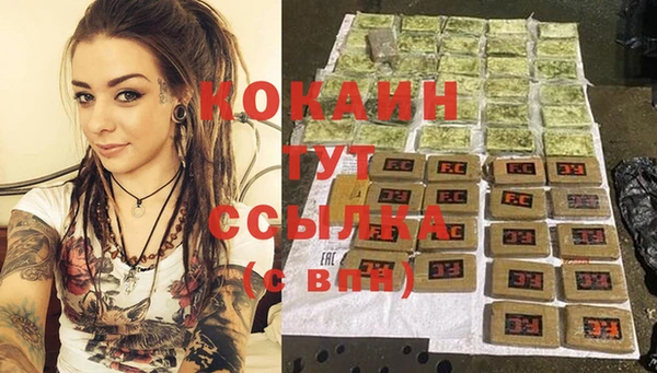 кокс Ельня